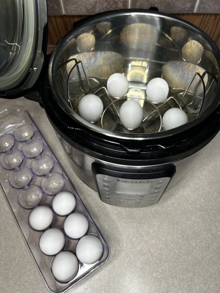 eggs placed in pressure cooker