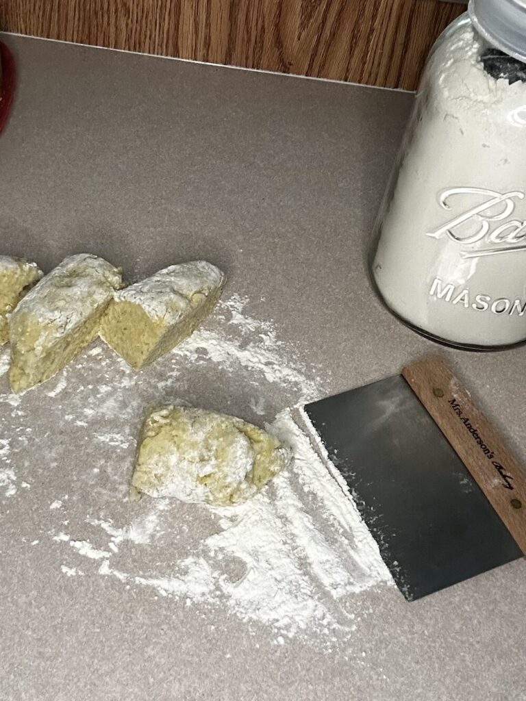 homemade potato gnocchi dough cut into fourths